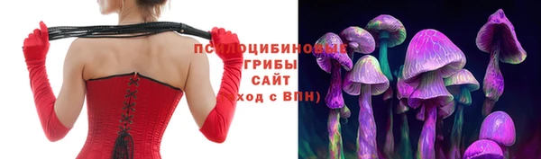 мет Пересвет